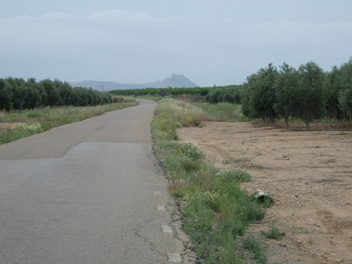 Our first view of the Castle of Almodóvar del Rio (telephoto).